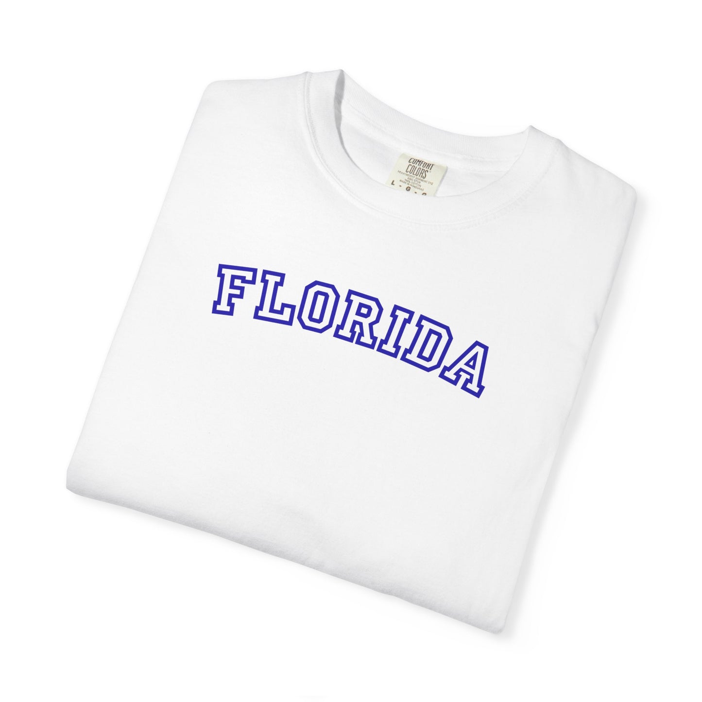 Florida Varsity Graphic Tee | Retro Florida Shirt | Trendy Beach Aesthetic Tee | College Style State Shirt